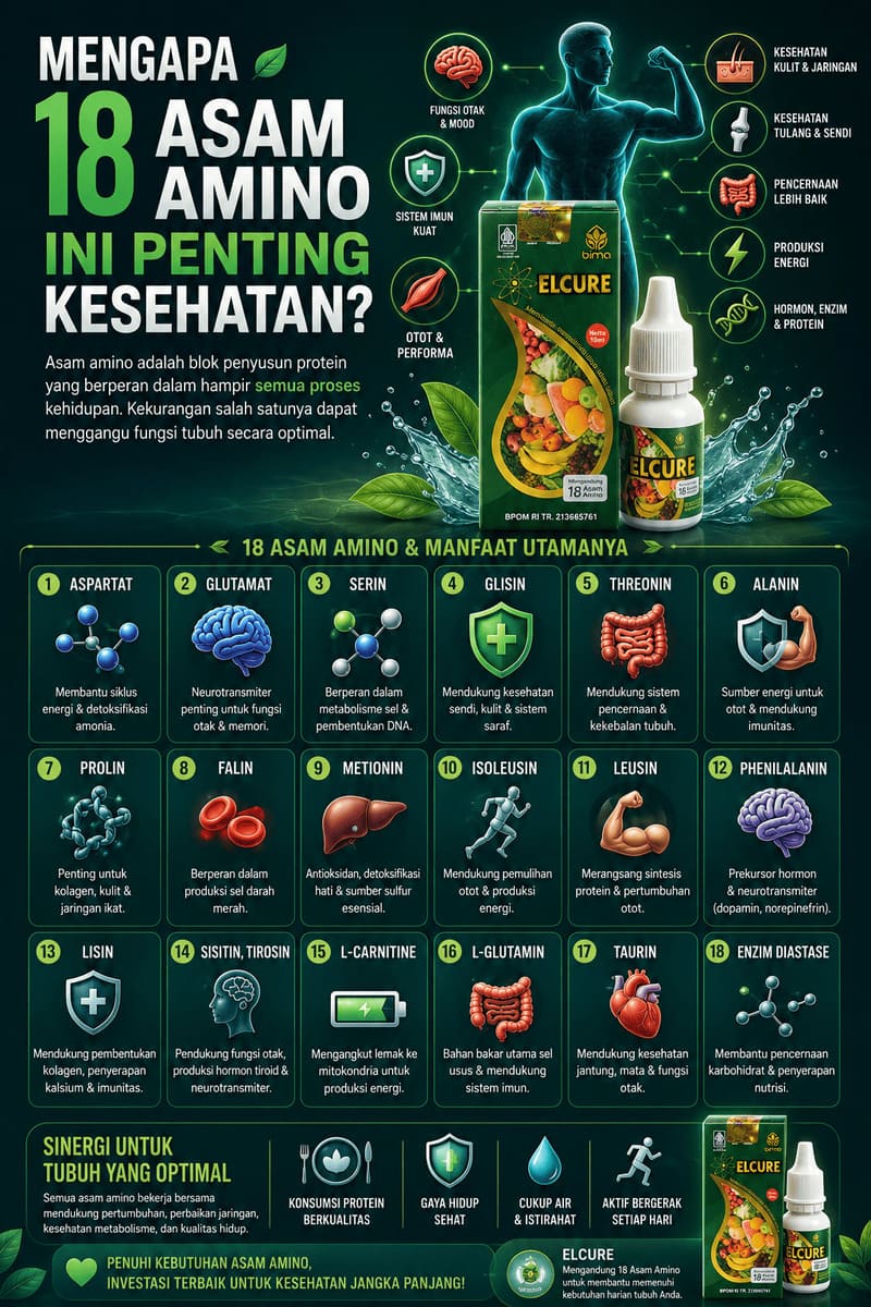 Komposisi 18 Asam Amino Elcure